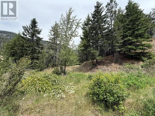 938S Hwy 3 Unit# Dl, Princeton, BC 