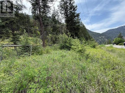 938S Hwy 3 Unit# Dl, Princeton, BC 