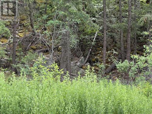 938S Hwy 3 Unit# Dl, Princeton, BC 