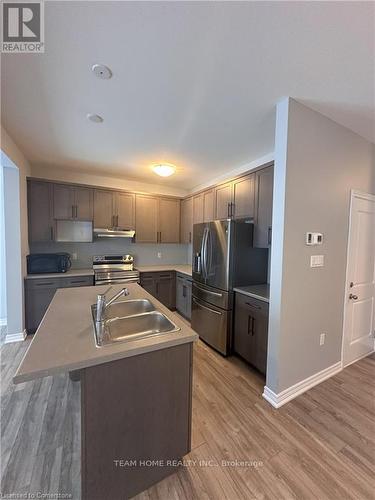 119 Shady Hill Road S, West Grey, ON - Indoor Photo Showing Kitchen With Double Sink