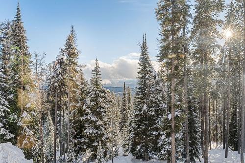 211-225 Kettle View Road, Big White, BC - Outdoor With View