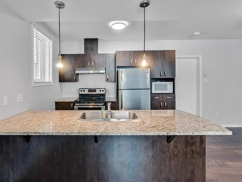 Cuisine - 10-105 Rue De Bruxelles, Gatineau (Aylmer), QC - Indoor Photo Showing Kitchen With Double Sink With Upgraded Kitchen