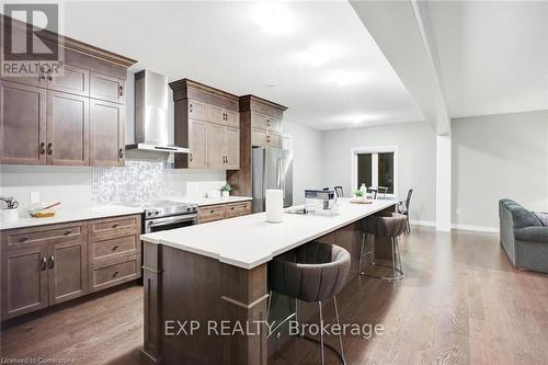 61 Broadacre Drive, Kitchener, ON - Indoor Photo Showing Kitchen With Upgraded Kitchen