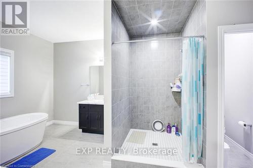 61 Broadacre Drive, Kitchener, ON - Indoor Photo Showing Bathroom