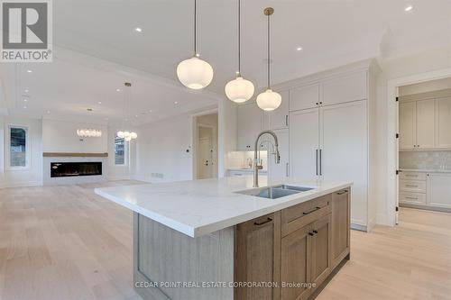 15 Drury Lane, Toronto, ON - Indoor Photo Showing Kitchen With Fireplace With Double Sink With Upgraded Kitchen