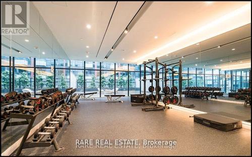 801 - 27 Bathurst Street, Toronto, ON - Indoor Photo Showing Gym Room