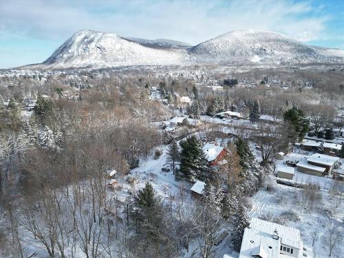 Vue d'ensemble - 185 Rue Michel, Mont-Saint-Hilaire, QC - Outdoor With View