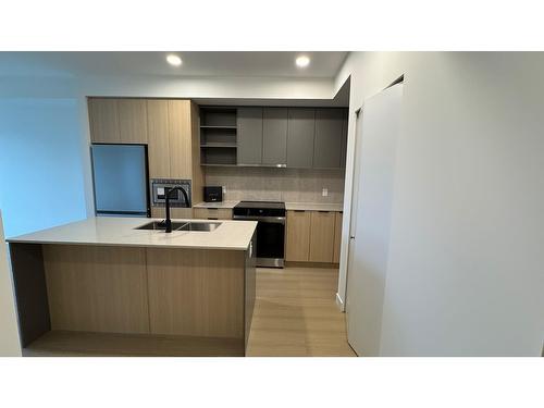 314 9456 134 Street, Surrey, BC - Indoor Photo Showing Kitchen With Double Sink