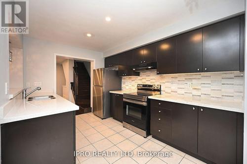 227 Slingsby Landing Lane, Milton, ON - Indoor Photo Showing Kitchen With Double Sink