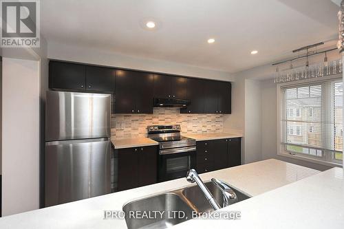 227 Slingsby Landing Lane, Milton, ON - Indoor Photo Showing Kitchen With Double Sink