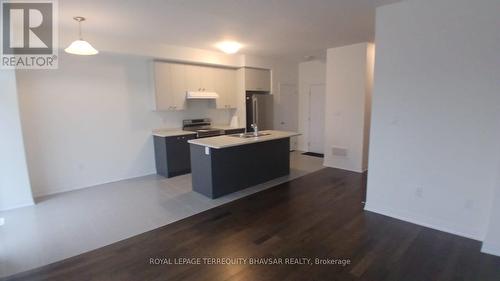 85 Velvet Way, Thorold, ON - Indoor Photo Showing Kitchen With Double Sink