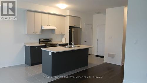 85 Velvet Way, Thorold, ON - Indoor Photo Showing Kitchen With Double Sink