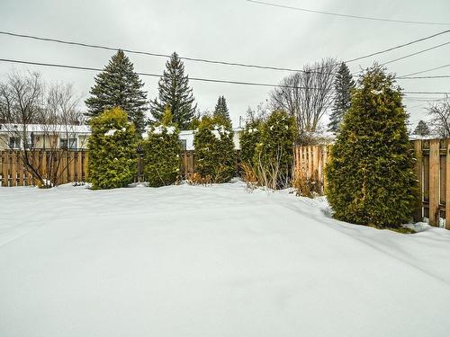 Backyard - 5900 Rue Boyer, Brossard, QC - Outdoor