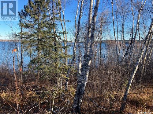 1 Birch Place, Tobin Lake, SK - Outdoor With View