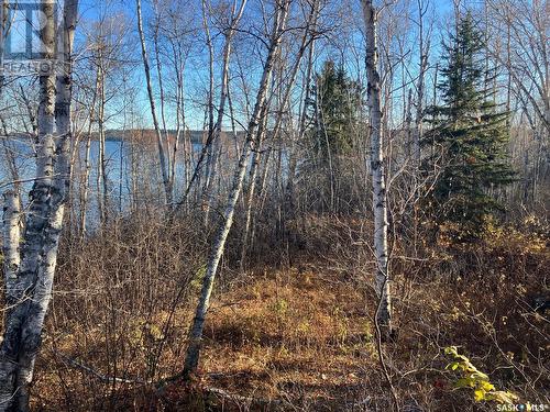 1 Birch Place, Tobin Lake, SK - Outdoor With View