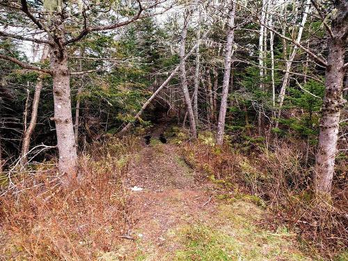 110 Acres Highway 333 Road, Indian Harbour, NS 