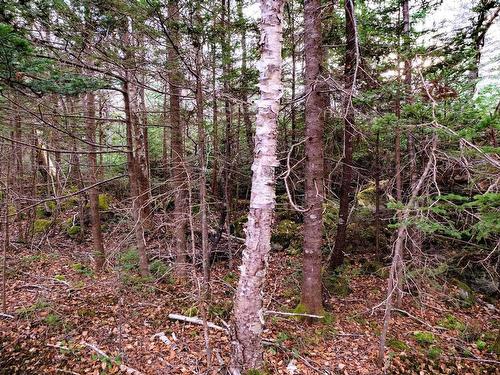 110 Acres Highway 333 Road, Indian Harbour, NS 