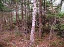 110 Acres Highway 333 Road, Indian Harbour, NS 