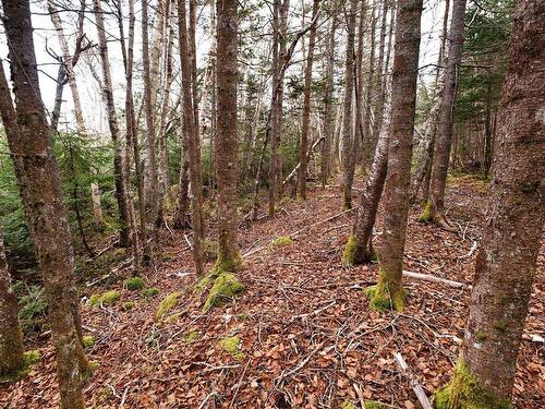 110 Acres Highway 333 Road, Indian Harbour, NS 