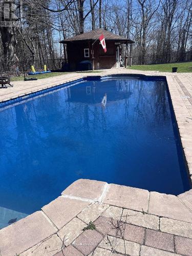 7 Houdini Way, Aurora, ON - Outdoor With In Ground Pool With Backyard