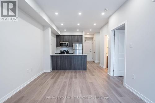 205 - 125 Shoreview Place, Hamilton, ON - Indoor Photo Showing Kitchen