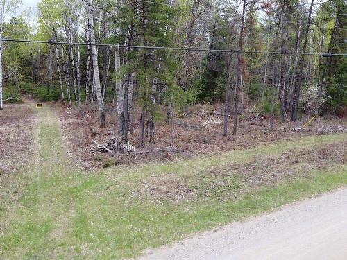 Terre/Terrain - Ch. Des Outaouais, L'Île-Du-Grand-Calumet, QC 