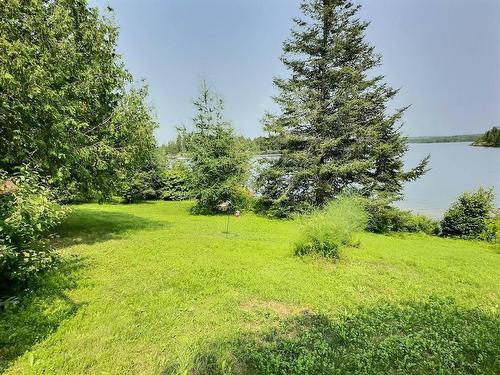 Cour - 242 Ch. Du Lac-Cameron, Saint-Eugène-De-Guigues, QC - Outdoor With View