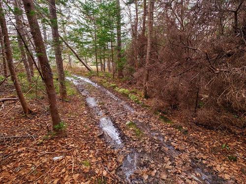 202 Acres Peggys Cove Road, Indian Harbour, NS 