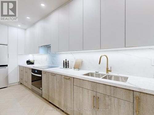 102 - 65 Spring Garden Avenue, Toronto, ON - Indoor Photo Showing Kitchen With Double Sink With Upgraded Kitchen