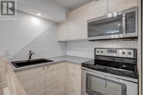 Lower - 489 Clinton Street, Toronto, ON - Indoor Photo Showing Kitchen With Double Sink With Upgraded Kitchen