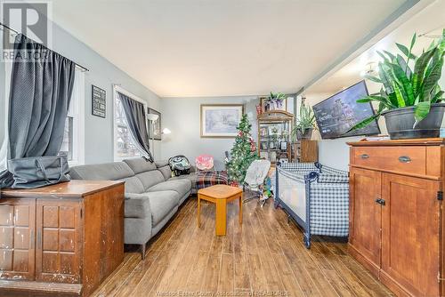 1185 Aubin Road, Windsor, ON - Indoor Photo Showing Living Room