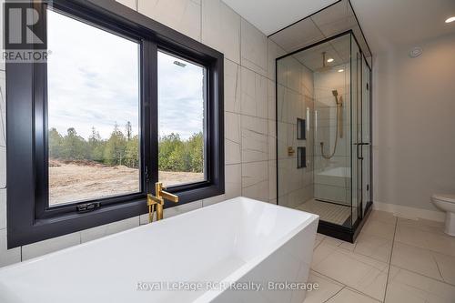 195 Boyd Lake Road, West Grey, ON - Indoor Photo Showing Bathroom