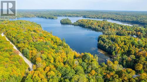 48 Russell Drive, Minden Hills, ON - Outdoor With Body Of Water With View