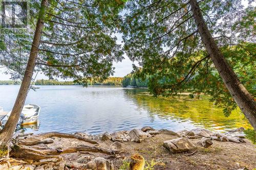 48 Russell Drive, Minden Hills, ON - Outdoor With Body Of Water With View