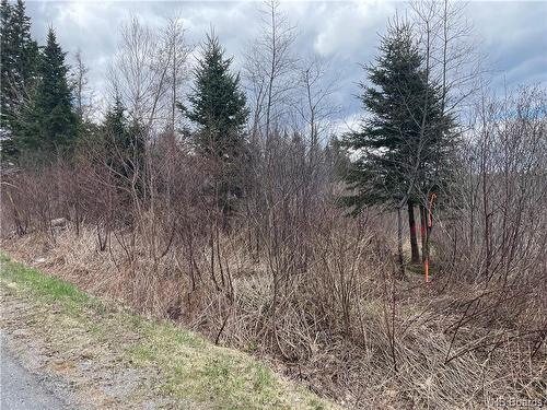 Lot 2 Mcgraw Rd, Bains Corner, NB 