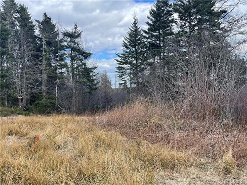 Lot 2 Mcgraw Rd, Bains Corner, NB 