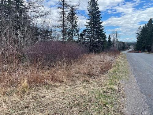 Lot 2 Mcgraw Rd, Bains Corner, NB 