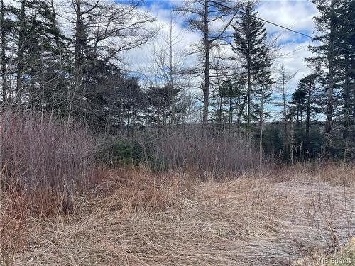 Lot 2 Mcgraw Rd, Bains Corner, NB 