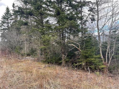 Lot 2 Mcgraw Rd, Bains Corner, NB 