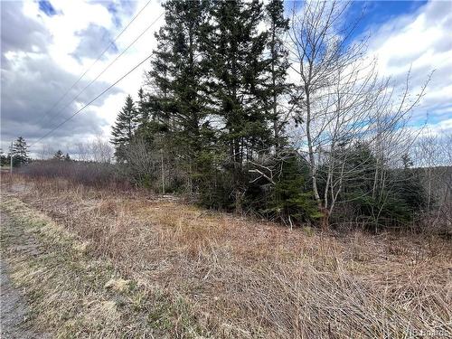 Lot 2 Mcgraw Rd, Bains Corner, NB 