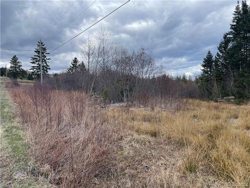 Lot 1 Mcgraw Rd, Bains Corner, NB 