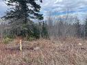 Lot 1 Mcgraw Rd, Bains Corner, NB 