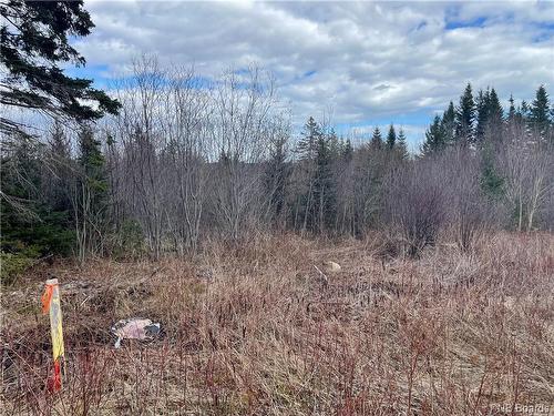 Lot 1 Mcgraw Rd, Bains Corner, NB 