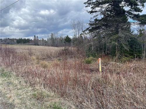 Lot 1 Mcgraw Rd, Bains Corner, NB 