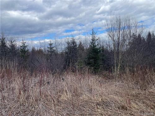 Lot 1 Mcgraw Rd, Bains Corner, NB 