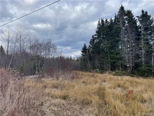 Lot 1 Mcgraw Rd, Bains Corner, NB 