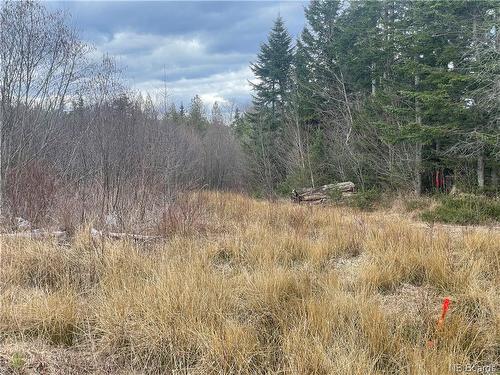 Lot 1 Mcgraw Rd, Bains Corner, NB 