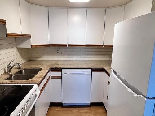 402 130 Brodie Street S, Thunder Bay, ON - Indoor Photo Showing Kitchen With Double Sink