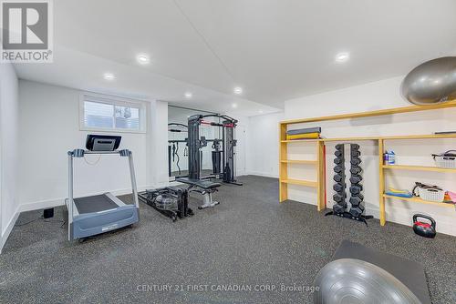 2120 Ironwood Road, London, ON - Indoor Photo Showing Gym Room