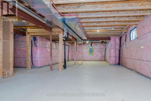 24 Dey Drive, Collingwood, ON - Indoor Photo Showing Basement